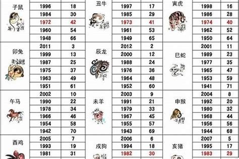 2028年五行属什么|2028年出生的属什么,2028年是什么生肖